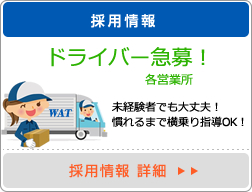 採用情報